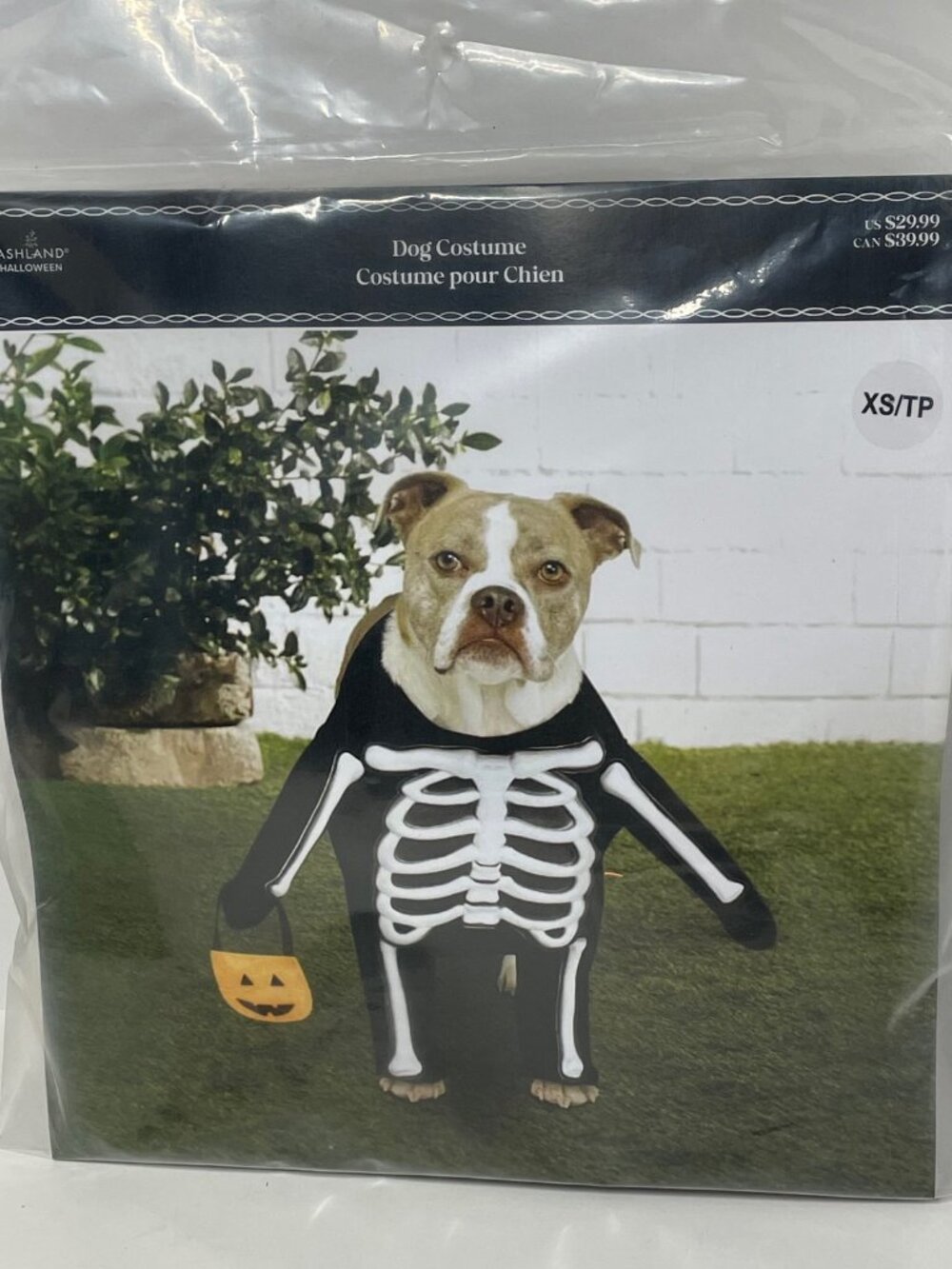 Dog Skeleton Costume XS Halloween Pet Outfit Ashland Small Dog New